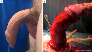 Click on image to zoom