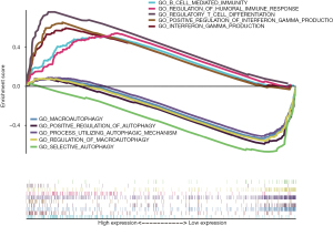 Click on image to zoom