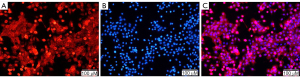 Click on image to zoom