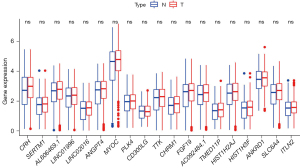 Click on image to zoom