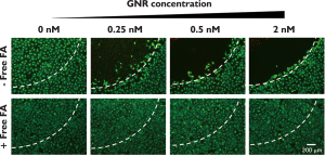 Click on image to zoom QIMS-2012-02-figure3.png