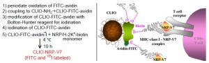 Click on image to zoom Figure 2