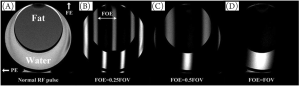 Click on image to zoom figure