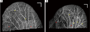 Click on image to zoom Figure 1