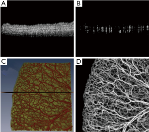 Click on image to zoom Figure 3