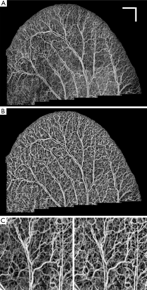 Click on image to zoom Figure 4