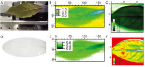 Click on image to zoom Figure 3