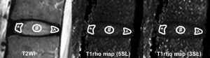 Click on image to zoom Figure 1
