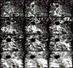 Click on image to zoom Figure 2