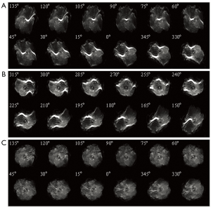 Click on image to zoom Figure 3