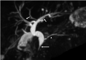Click on image to zoom Figure 3