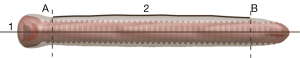 Click on image to zoom