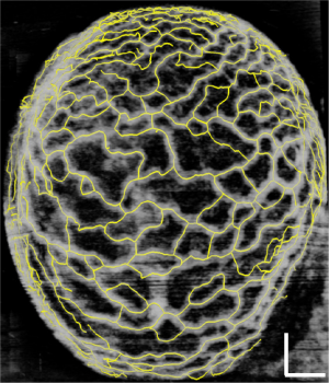 Click on image to zoom