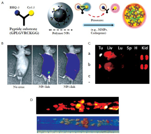 Click on image to zoom Figure 3