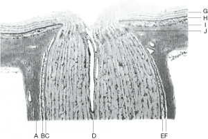 Click on image to zoom