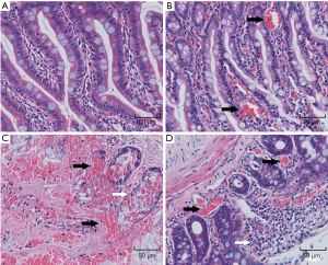 Click on image to zoom