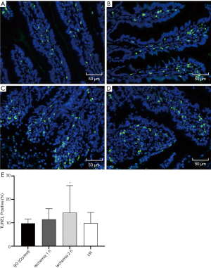 Click on image to zoom