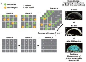 Click on image to zoom Figure 1