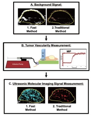 Click on image to zoom Figure 2