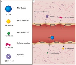 Click on image to zoom Figure 2