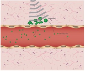 Click on image to zoom Figure 3