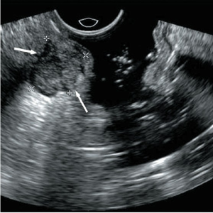 Click on image to zoom Figure 2