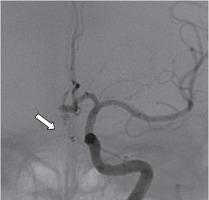 Click on image to zoom Figure 3