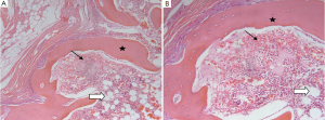 Click on image to zoom Figure 3