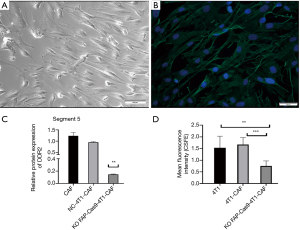 Click on image to zoom