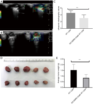 Click on image to zoom