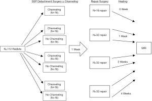 Click on image to zoom