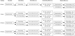 Click on image to zoom