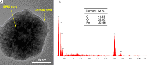 Click on image to zoom QIMS-2011-10-figure1.png