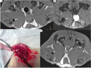 QIMS-2011-10-figure2.png