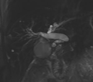 Click on image to zoom