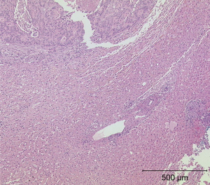 Click on image to zoom