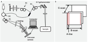 Click on image to zoom Figure 1