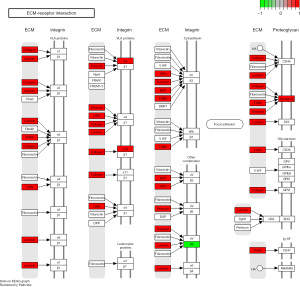 Click on image to zoom