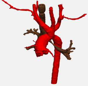 Click on image to zoom
