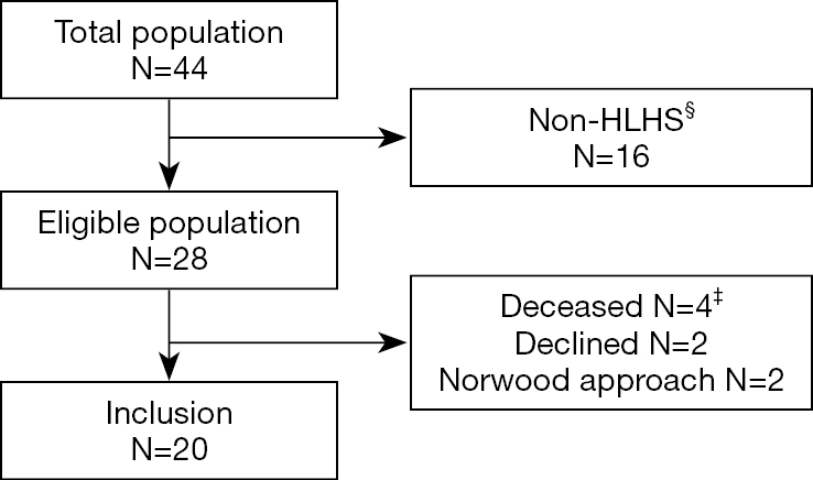 Neurodevelopmental Outcome In Hypoplastic Left Heart Syndrome After Hybrid Procedure Reich Translational Pediatrics
