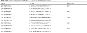 Click on image to zoom Table 2