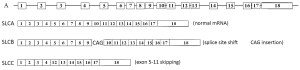 Click on image to zoom