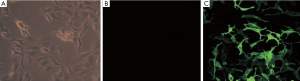 Click on image to zoom