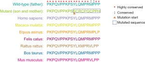 Click on image to zoom