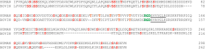 Click on image to zoom