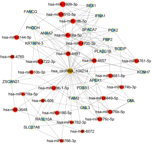 Click on image to zoom