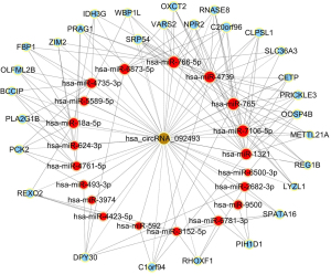 Click on image to zoom