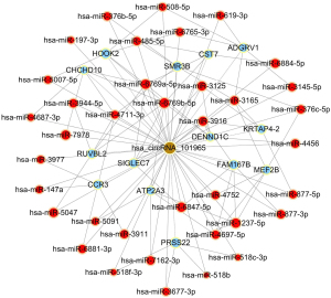 Click on image to zoom