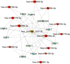 Click on image to zoom