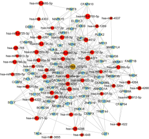 Click on image to zoom